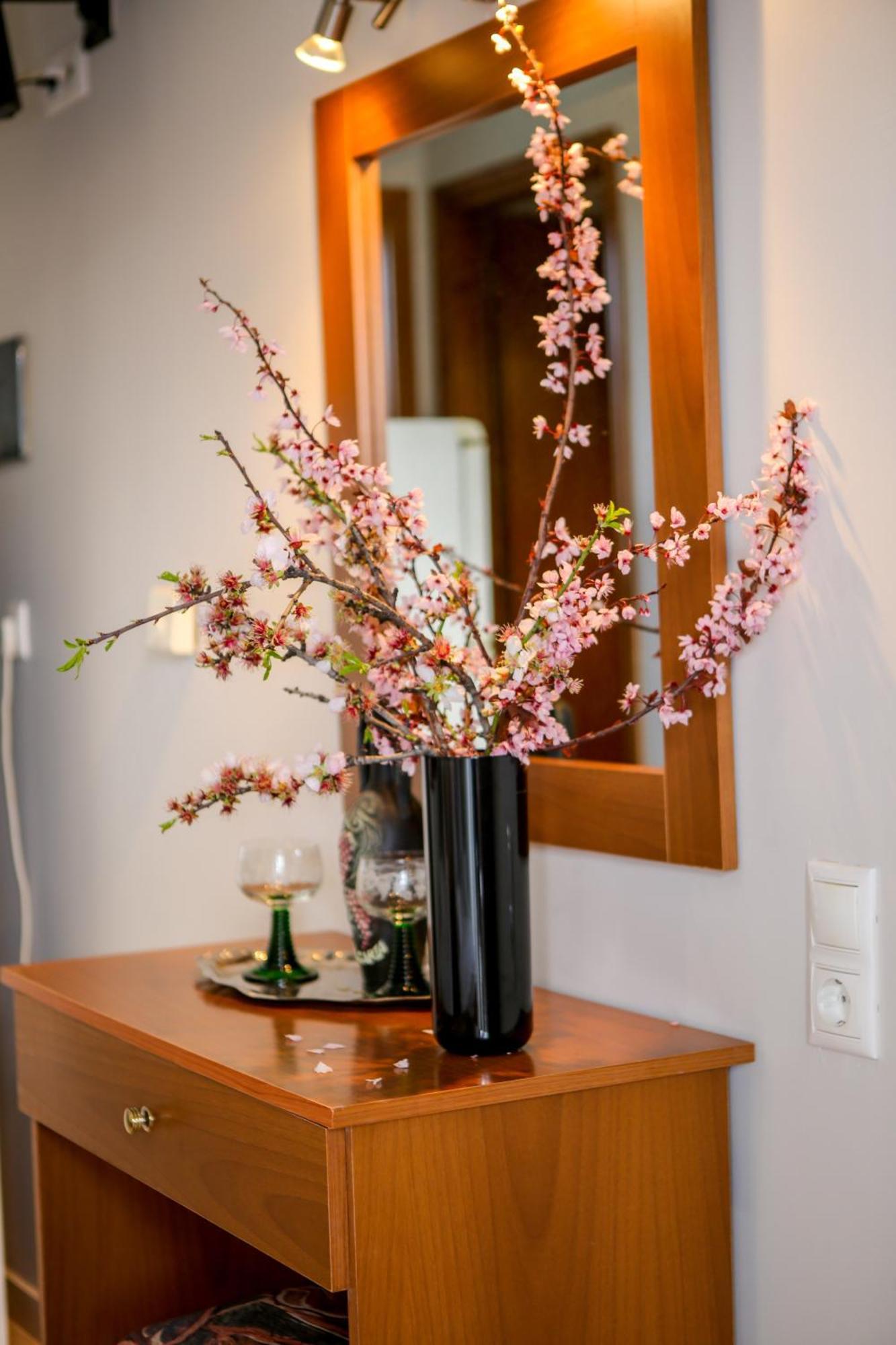 Athanasia Inn Vrasná エクステリア 写真